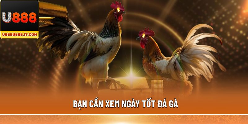 Bạn cần xem ngày tốt đá gà