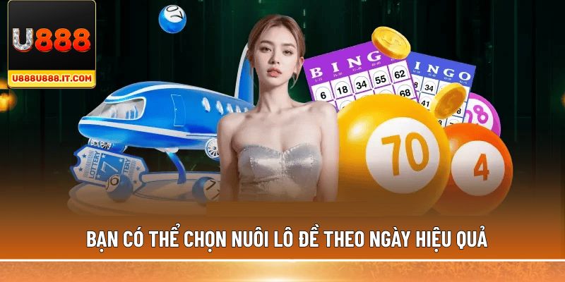 Bạn có thể chọn nuôi lô đề theo ngày hiệu quả