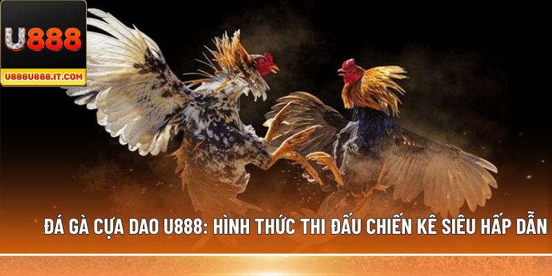 đá gà cựa dao
