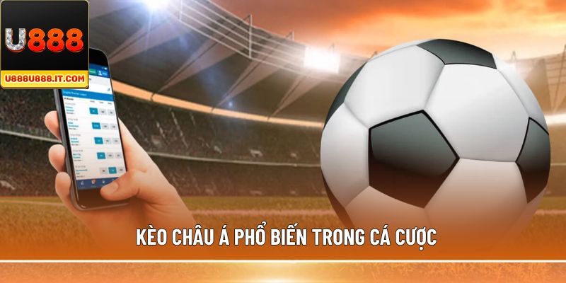 Kèo châu Á phổ biến trong cá cược