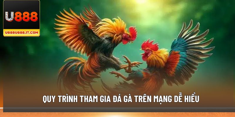Quy trình tham gia đá gà trên mạng dễ hiểu