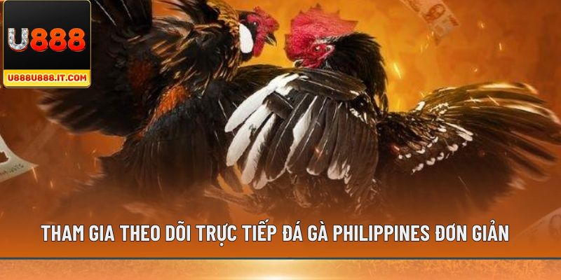 Tham gia theo dõi trực tiếp đá gà Philippines đơn giản