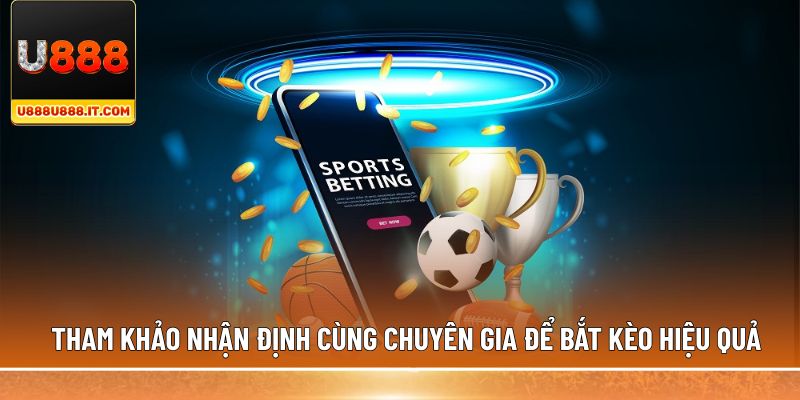 Tham khảo nhận định cùng chuyên gia để bắt kèo hiệu quả